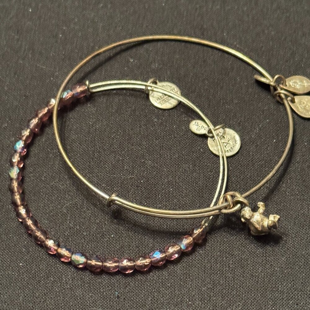 Vintage Alex and Ani Bracelets Silver Tone Beaded Frog Charm